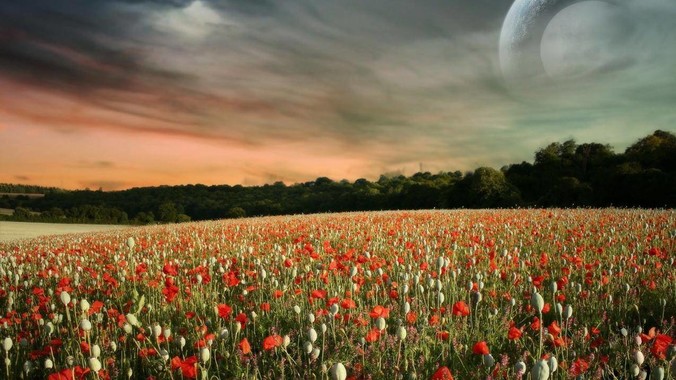 为什么现在吹Rust的人这么多？